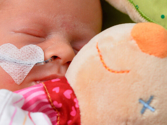 Ein neonatologisch betreutes Baby hält ein Kuscheltier im Arm.